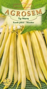 Fasole pitica Maxidor 150g - Seminte soi timpuriu, fasole oloaga galbena cilindrica, pastai crocante, Agrosem